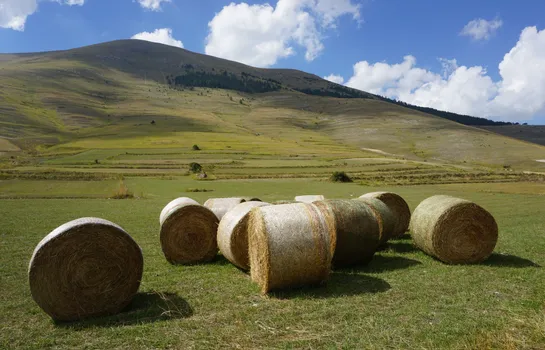 castelluccio_50322708413_o.jpg