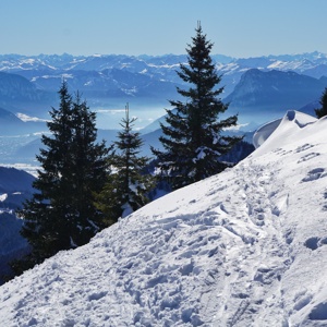 Feichteck_9_Februar_2022