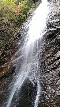 VID_20221005_170752.mp4