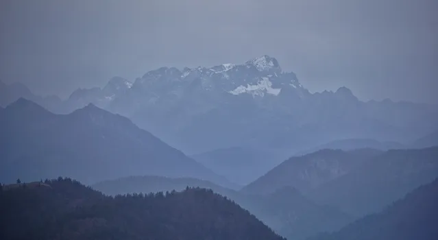 DSC01265-01.jpeg