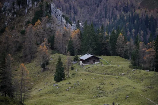 DSC04576-01.jpeg