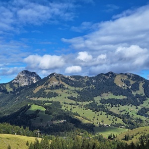 Vogelsang_BKH-Wandertag_2024