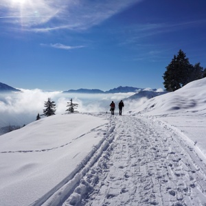 Wildalpjoch_29_Januar_2023