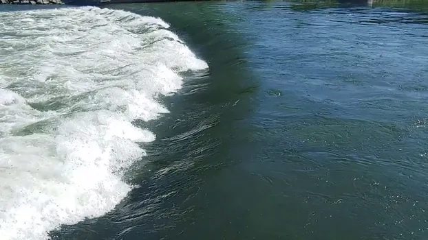20220518_155807.mp4