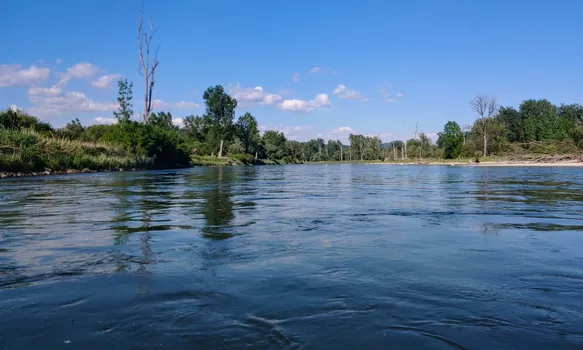 20220518_165013_HDR.jpg