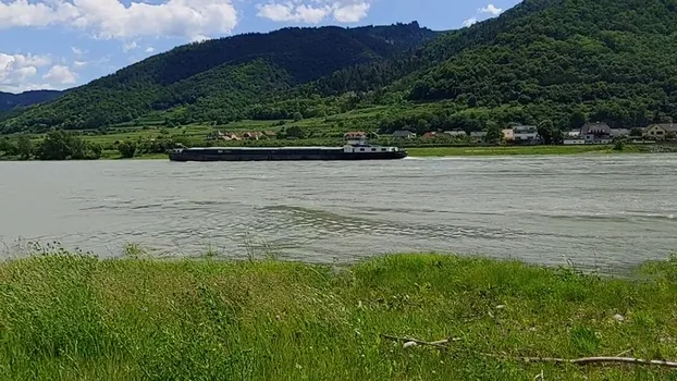 20220526_121829.mp4