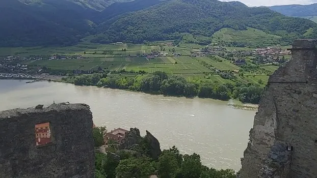 20220526_150134.mp4