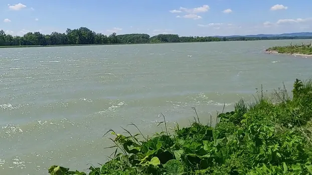 20220527_120554.mp4