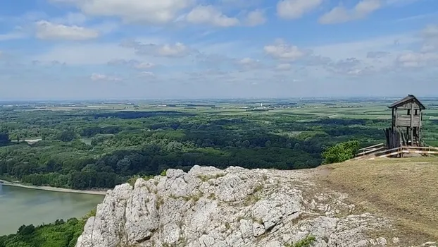 20220531_102448.mp4