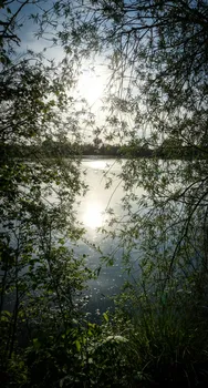DSC07743.jpg