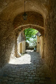 DSC08051-01.jpeg