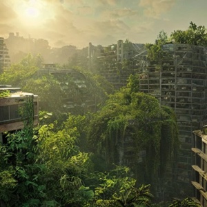 watching_overgrown_city