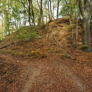 Wanderung_zur_Grossen_Schwedenschanze_01-11-2022