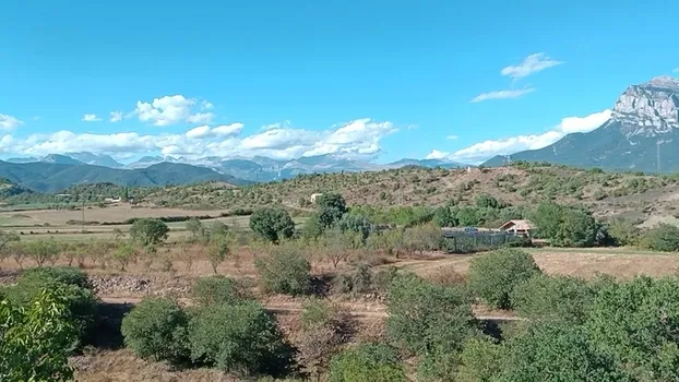 VID_20230831_175051.mp4