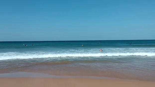 VID_20231012_130057.mp4