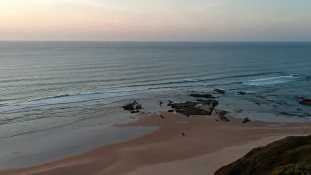 VID_20231012_184754.mp4