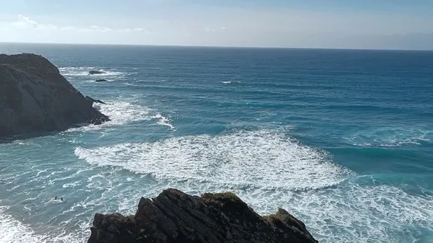 VID_20231014_154612.mp4