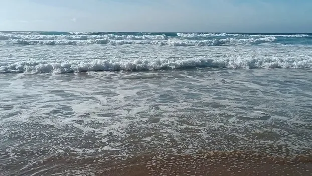 VID_20231014_163706.mp4