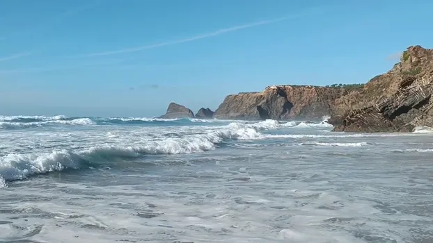 VID_20231014_163848.mp4