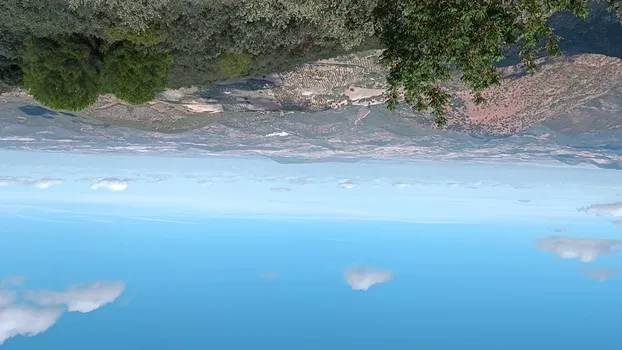 VID_20231021_135950.mp4