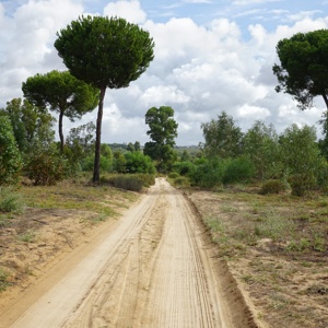 Donana_Nationalpark_und_Umgebung