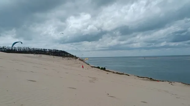 VID_20230829_141627.mp4