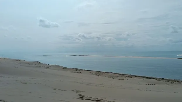 VID_20230829_161209.mp4