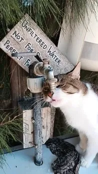 VID_20230929_134301.mp4