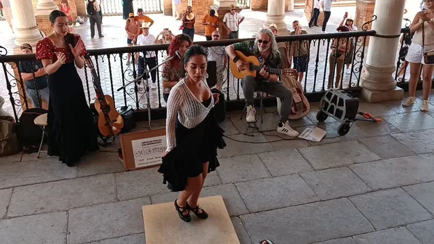 VID_20231005_160833.mp4