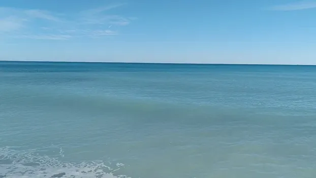 VID_20231110_114155.mp4