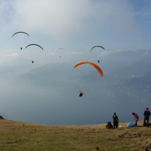 Never_Ending_Summer-2019