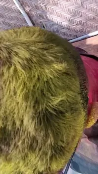 YouCut_20230307_154944913.mp4