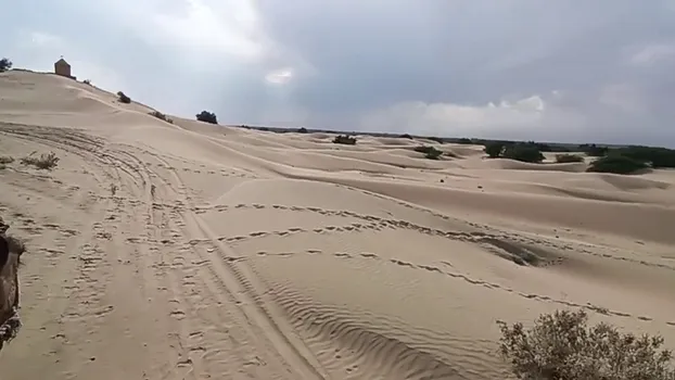 VID_20230321_163136.mp4