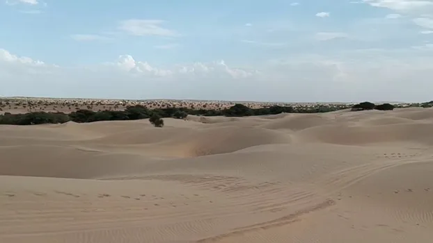 VID_20230321_165332.mp4