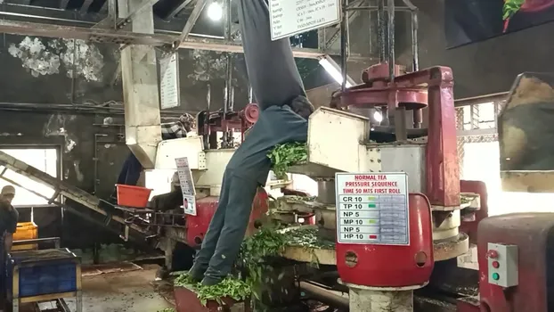 VID_20240307_142910.mp4