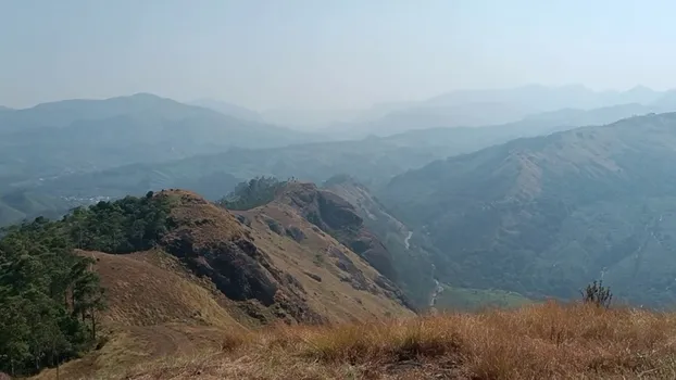 VID_20240308_101016.mp4