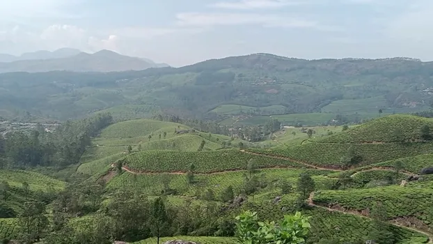 YouCut_20240307_171930603.mp4