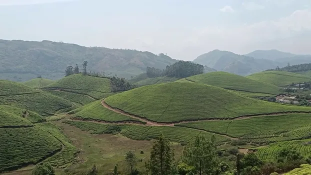 YouCut_20240307_172349544.mp4