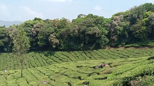 YouCut_20240308_133112078.mp4