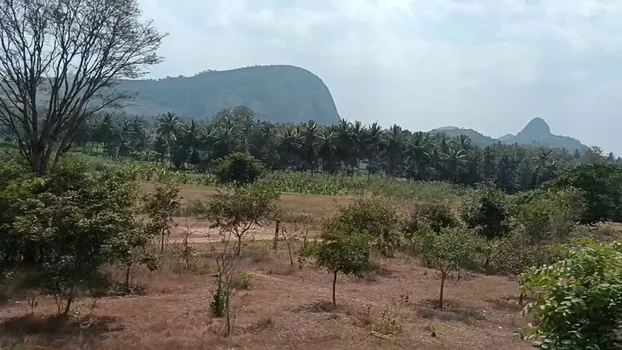 VID_20240202_122108.mp4