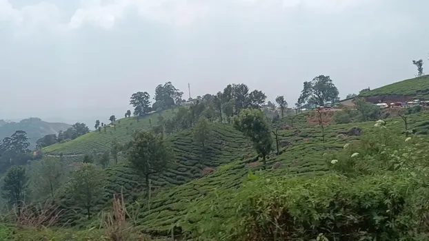 VID_20240310_120728.mp4