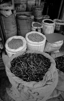 DSC08492-01-01.jpg