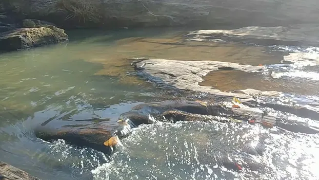 20200218_160847.mp4
