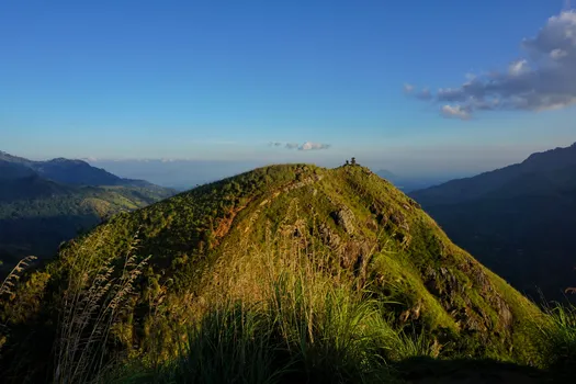 DSC06556-01.jpg