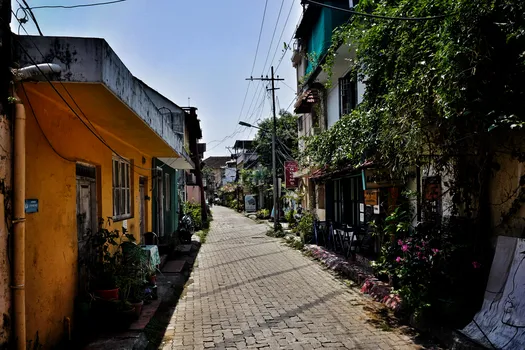 DSC08592-01.jpg