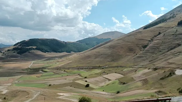 VID_20220819_155443.mp4