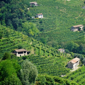 Valdobbiadene