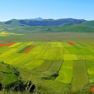 Castelluccio
