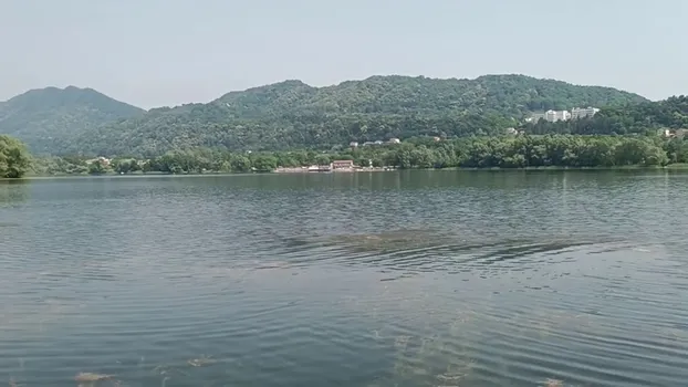 VID_20230622_153416.mp4