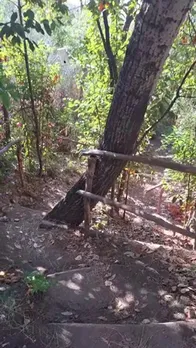 InShot_20251029_151920755.mp4